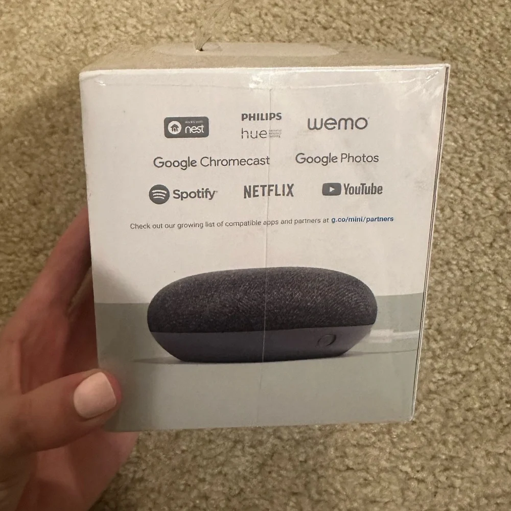 Google Home Mini